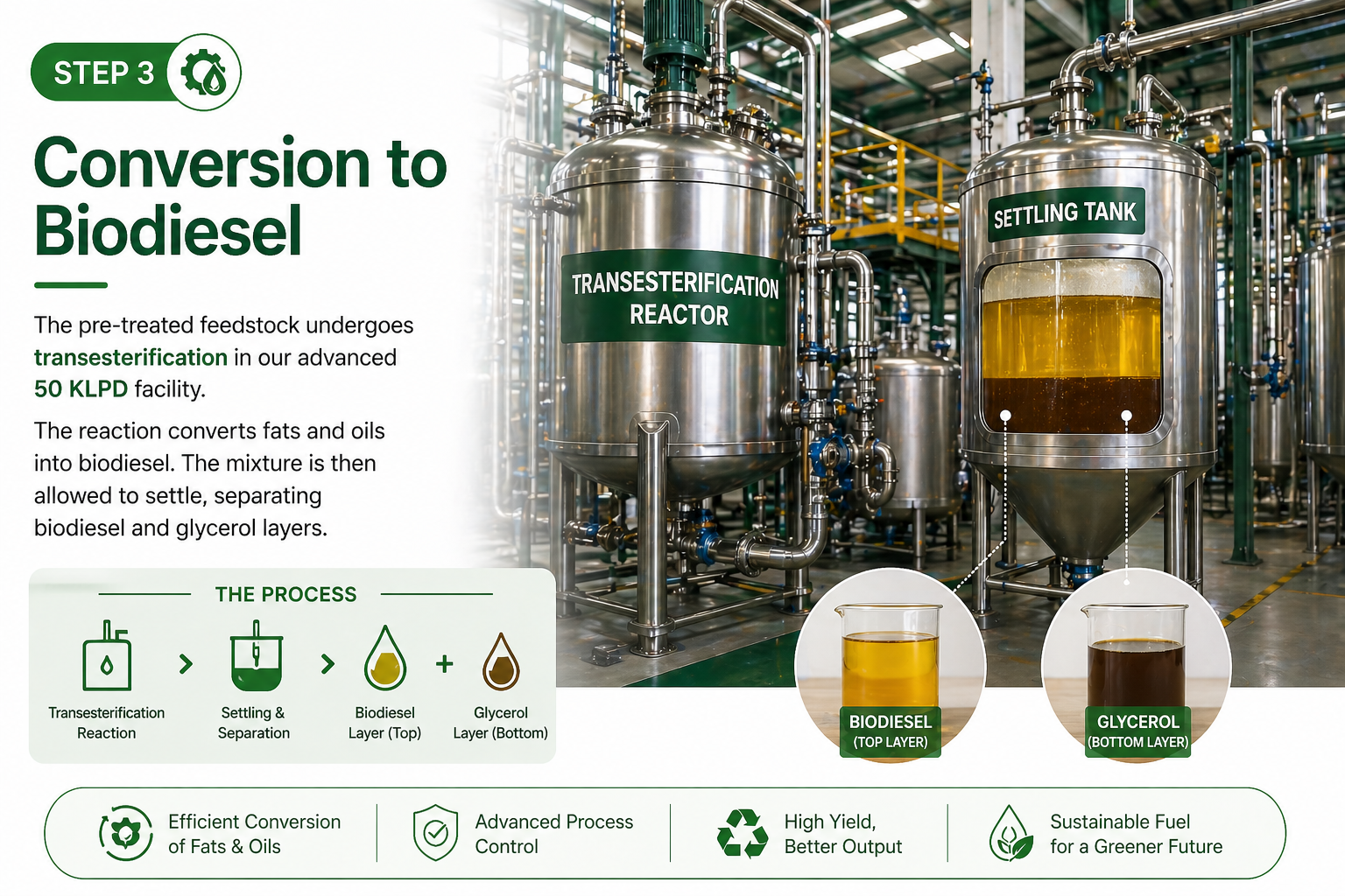 Biodiesel production process overview
